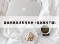 丽水昆虫网站高清照片素材（昆虫图片下载）