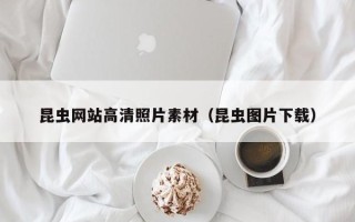 丽水昆虫网站高清照片素材(昆虫图片下载) 丽水昆虫网站高清照片素材(昆虫图片下载)